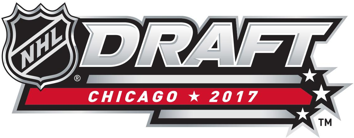 NHL Draft 2017 Alternate Logo t shirts iron on transfers